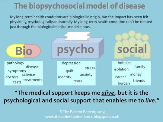 BPS Model Via The Patient Patient. Click image to view website.