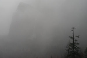 Foggy Yosemite Image